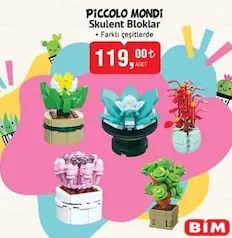 PİCCOLO MONDİ SKULENT BLOKLAR